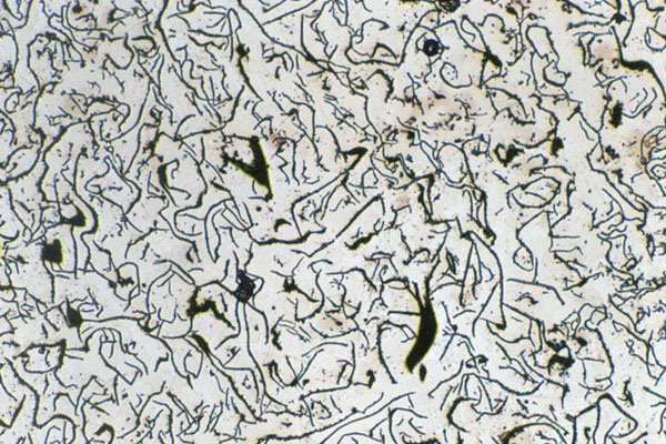 gray-cast-iron-microstructure