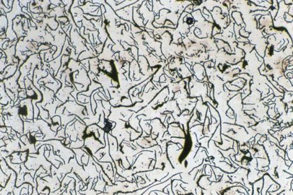 microstructure of gray cast iron